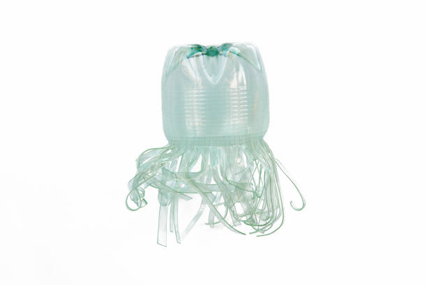 Plastic bottle recycled in a jellyfish figure. Reuse garbage.