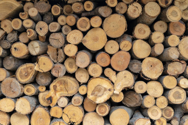 istock View Of Firewood Stacked In Autumn 1069497750
