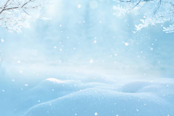 istock Merry christmas and happy new year greeting background with copy-space.Beautiful winter landscape with snow covered trees. 1069498270