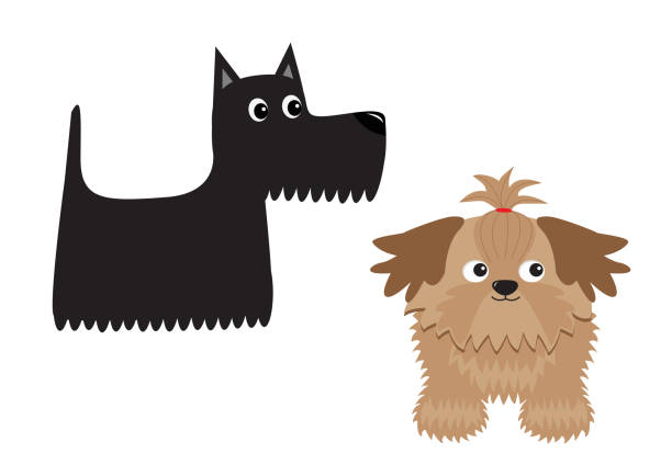 Scottish Terrier Black Dog Scottie Puppy Shih Tzu Animal Icon Set Cute  Cartoon Character Pet Animal Collection Adopt Concept Flat Design White  Background Isolated Stock Illustration - Download Image Now - iStock