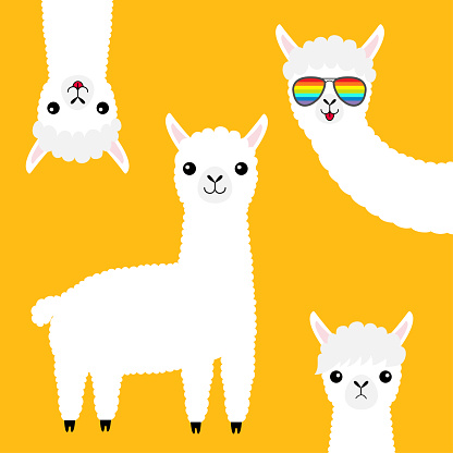 Alpaca llama animal set. Face in rainbow glassess. Cute cartoon funny kawaii character. Fluffy hair fur. T-shirt, greeting card, poster print. Baby collection. Flat design. Yellow background. Vector