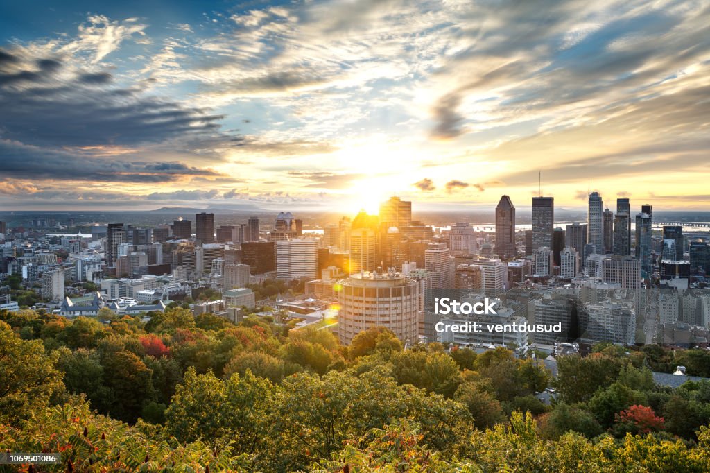 Montreal skyline from Mont Royal Montreal skyline early in the morning from Mont Royal park, Canada Montréal Stock Photo