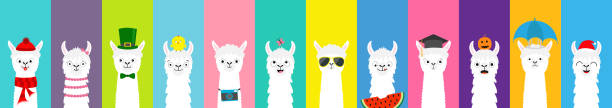 Llama alpaca set. Cute funny cartoon lama character. All seasons. Happy Valentines Christmas St Patrick day Easter Egg Bird Chicken Umbrella. Santa hat, sun Flat design Colorful background. Llama alpaca set. Cute funny cartoon lama character. All seasons. Happy Valentines Christmas St Patrick day Easter Egg Bird Chicken Umbrella Santa hat, sun Flat design Colorful background Vector lama religious occupation stock illustrations