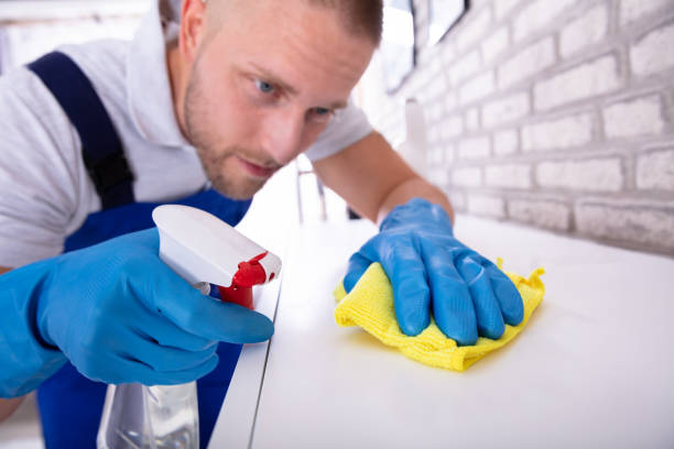 istock Janitor Cleaning Furniture With Cloth 1069504470