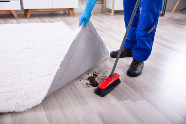 istock Janitor Cleaning Dirt Under The Carpet 1069504744