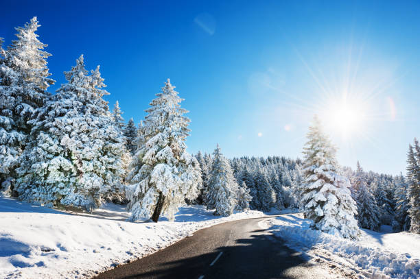 istock Winter road with snow-covered trees at sunny day. Beautiful winter landscape. 1069504838