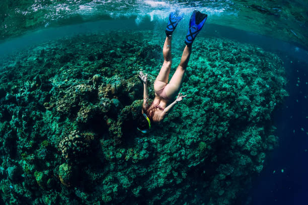istock Woman free diver dive in the tropical ocean 1069509030