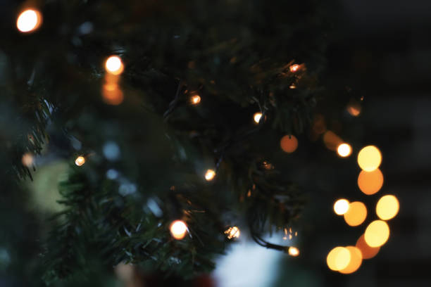 istock garland lights on fir tree branch blured background 1069512310