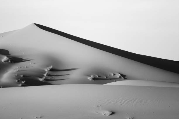 サハラ砂漠の砂丘の美しい、完璧な形状。単色、黒と白。モロッコ、アフリカ - desert landscape morocco sand dune ストックフォトと画像