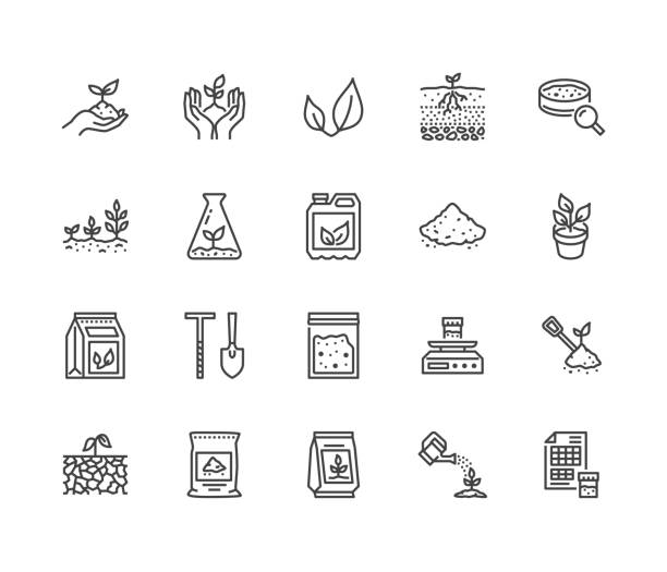 Soil testing flat line icons set. Agriculture, planting vector illustrations, hands holding ground with spring, plant fertilizer. Thin signs for agrology survey. Pixel perfect 64x64. Editable Strokes Soil testing flat line icons set. Agriculture, planting vector illustrations, hands holding ground with spring, plant fertilizer. Thin signs for agrology survey. Pixel perfect 64x64. Editable Strokes. eroded stock illustrations