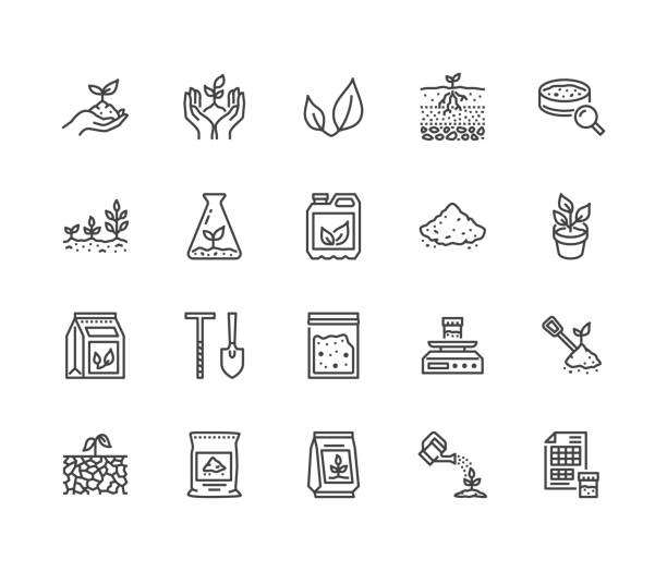 Soil testing flat line icons set. Agriculture, planting vector illustrations, hands holding ground with spring, plant fertilizer. Thin signs for agrology survey. Pixel perfect 64x64. Editable Strokes Soil testing flat line icons set. Agriculture, planting vector illustrations, hands holding ground with spring, plant fertilizer. Thin signs for agrology survey. Pixel perfect 64x64. Editable Strokes. plant fertilizer stock illustrations