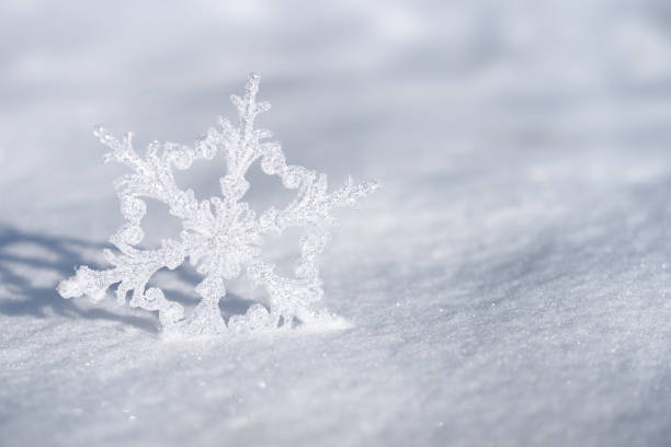 istock Christmas decoration snowflake on fresh snow 1069523178