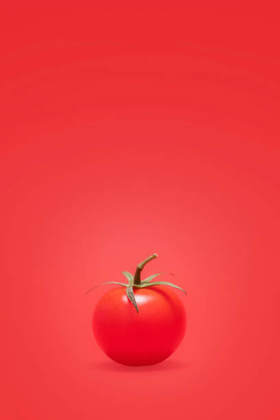 istock Single ripe red cherry tomato on red 1069524174