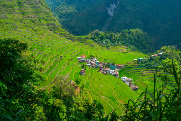 istock Batad Rice terraces, Banaue, Ifugao,Philippines 1069524232