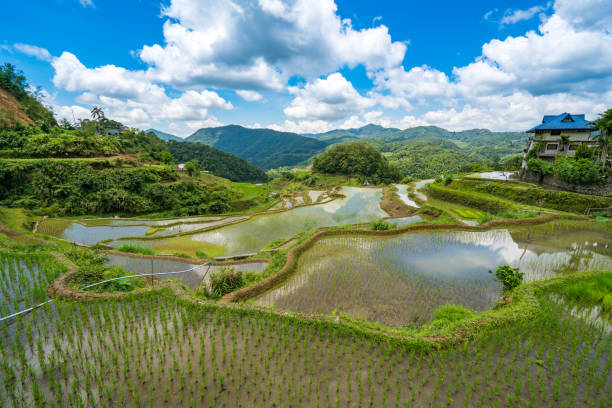 istock Banaue Rice Terraces, Ifugao, Philippines 1069524236