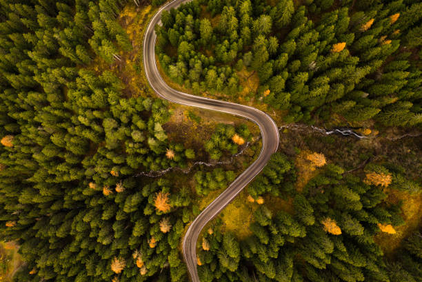 istock Curvy road in atumn forest. 1069529388