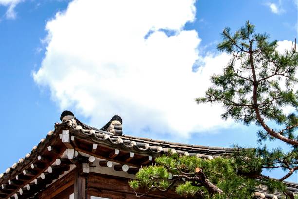 istock traditional village-VA104 1069531718