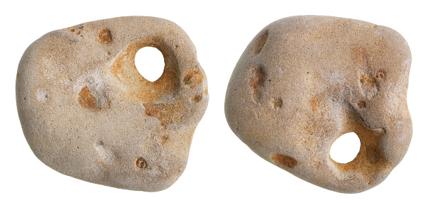 A small sea stone with a hole is called Chicken God and brings good luck as an amulet. View from two sides. Isolated on white studio macro shot