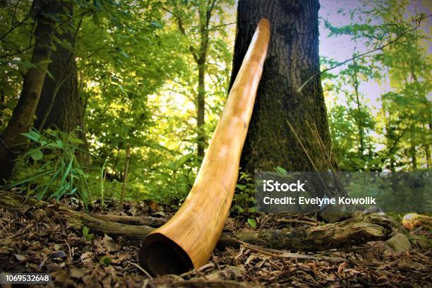 Didgeridoo In The Forest Stock Photo - Download Image Now - Didgeridoo, Beauty, Composition