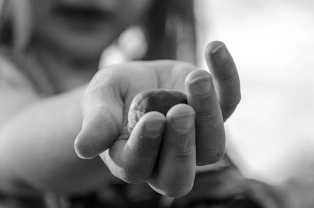 istock Little girl offering and passing a chestnut 1069537046
