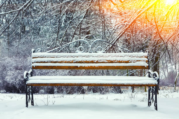 istock Park bench and trees covered by heavy snow 1069537656