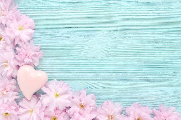 istock pink cherry fresh flowers frame with a heart on blue wooden background flat with copy space 1069537720