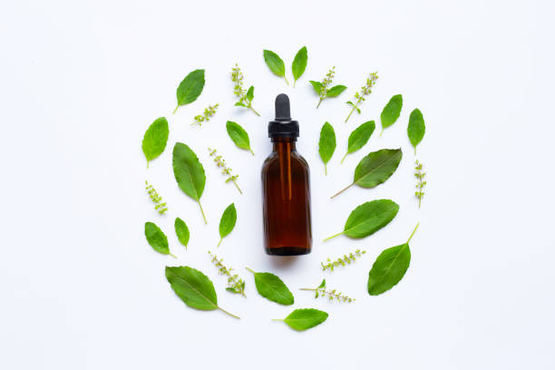 istock Holy Basil Essential Oil in a Glass Bottle with Fresh Holy Basil 1069539148
