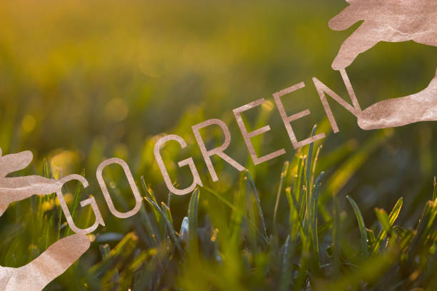 istock go green concept image. go green words on the forest background 1069540992