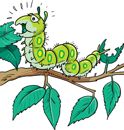 Cute caterpillar chewing green leaf illustration