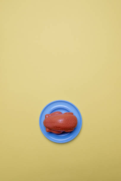 Plastic toy cooked chicken on yellow