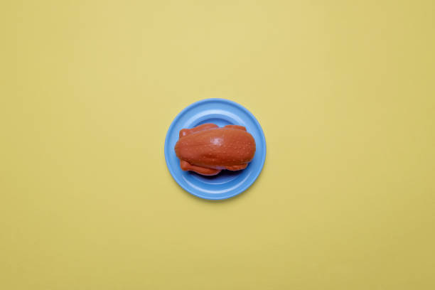 Plastic toy cooked chicken on yellow