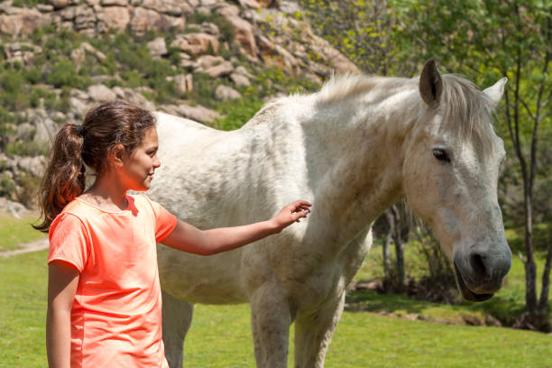 istock Young girl touching a white wild horse 1069547548
