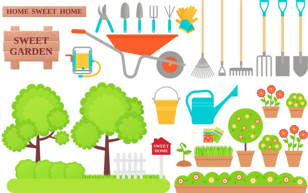 Garden tools. Gardening collection. Vector flat illustration. Garden tools. Gardening collection. Vector.  Instrument icons for horticulture shovel, watering equipment, scissors, rake, seed, plant, pruner. Set isolated white background. Cartoon flat illustration watering pail stock illustrations