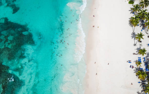 Incredible view of the white sandy beach from a bird's eye view. Top view of beautiful white sand beach with turquoise sea water and palm trees, aerial drone shot. Aerial view cancun photos stock pictures, royalty-free photos & images