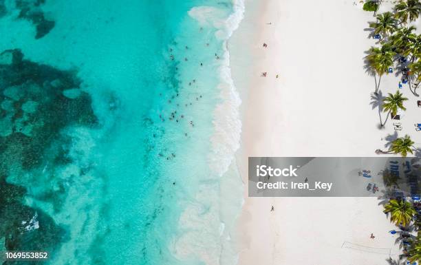 Incredible View Of The White Sandy Beach From A Birds Eye View Top View Of Beautiful White Sand Beach With Turquoise Sea Water And Palm Trees Aerial Drone Shot Stock Photo - Download Image Now