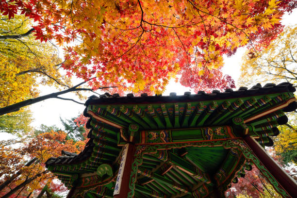 istock Pavilion's autumn in South Korea VH535 1069557644