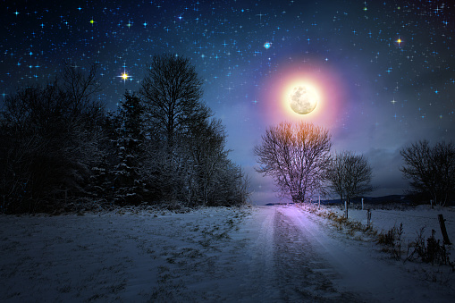 Winter trees covered with hoarfrost and full moon. Forest in the frost.Christmas card.