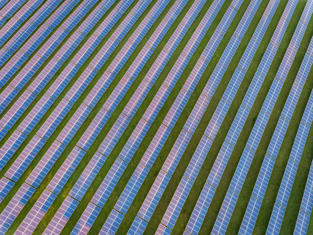 istock Aerial drone view of solar panels at Sunset 1069563292