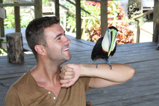 istock Man and his domesticated toucan bird 1069569358