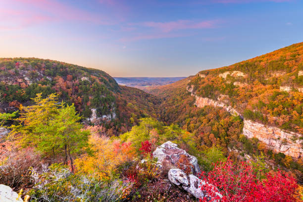 istock Cloudland Canyon, Georgia, USA 1069569364