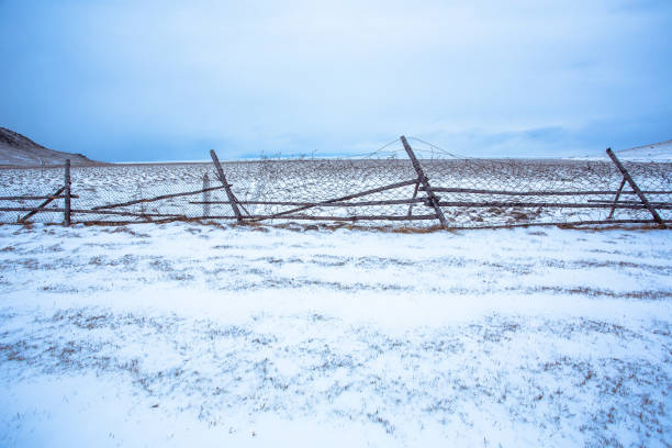 tilt zwierząt gospodarskich ogrodzenia na syberii - lake baikal lake landscape winter zdjęcia i obrazy z banku zdjęć