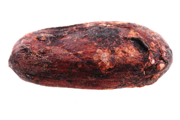 istock detail of cocoa bean 1069583456
