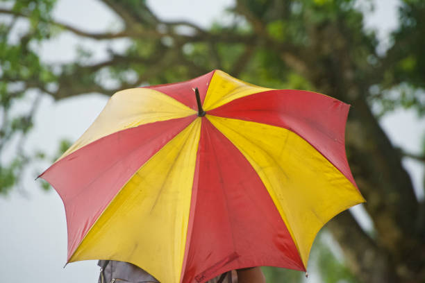 istock Man holding a colourful umbrella unique photo 1069587872