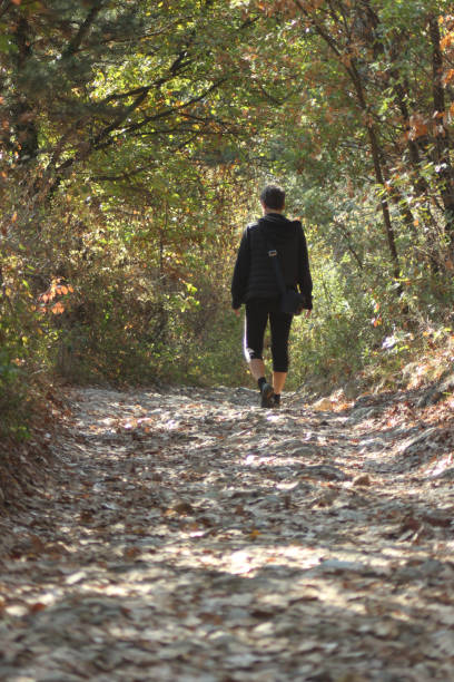 istock Woman hiking in Nature 1069595232