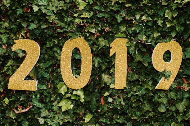 istock The new year brings a new start 1069595626