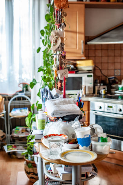 istock Messy Kitchen of a Hoarder 1069601050