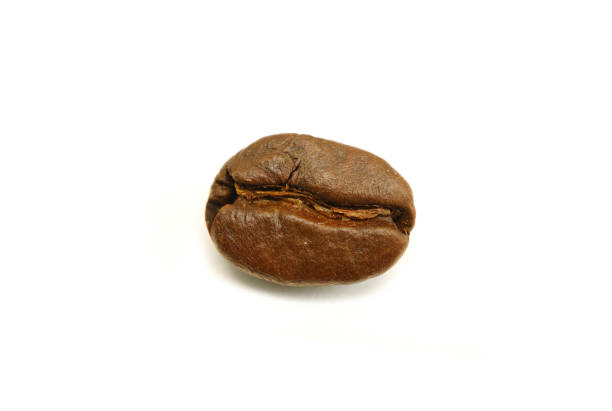 Single coffee bean isolated on white background.