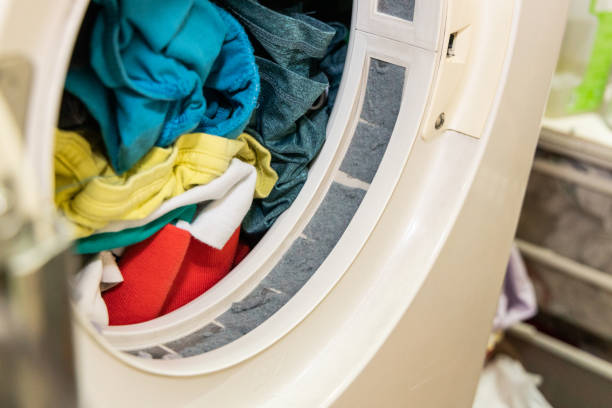 Lint trapped in filter of laundry dryer clothes machine after drying