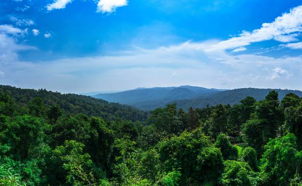 istock Nature forest landscape panorama background 1069620700