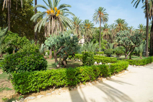 istock Green Park in Palermo, Sicily 1069622506